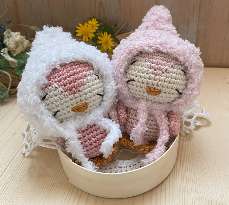 Accedi all'area riservata